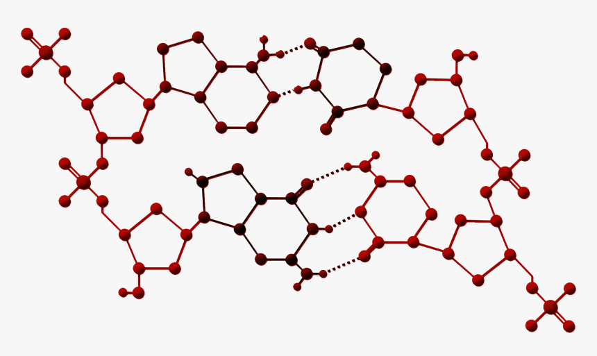 Poly-cell Science Matrix - Cell Science Png, Transparent Png, Free Download