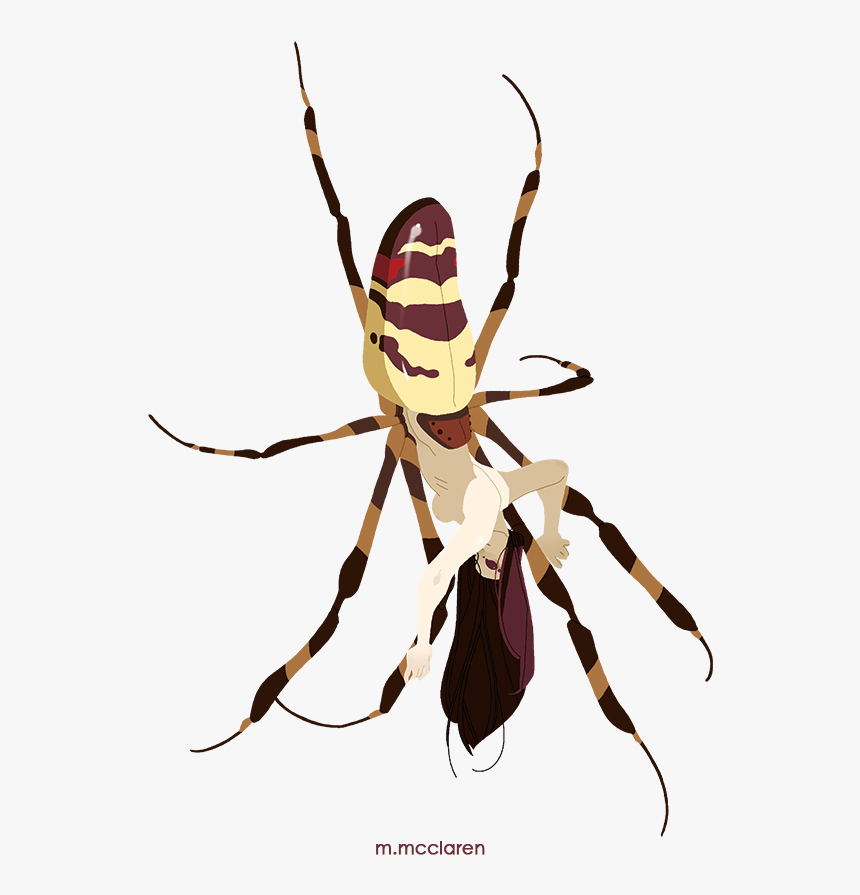 Yellow Garden Spider, HD Png Download, Free Download