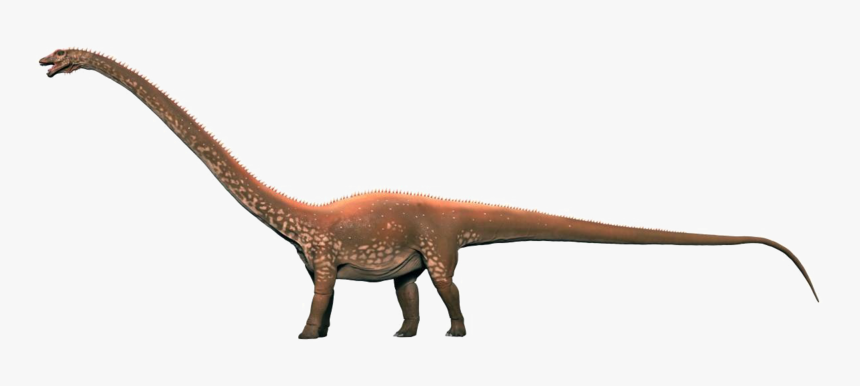 Diplodocus Transparent Background - Diplodocus Png, Png Download, Free Download