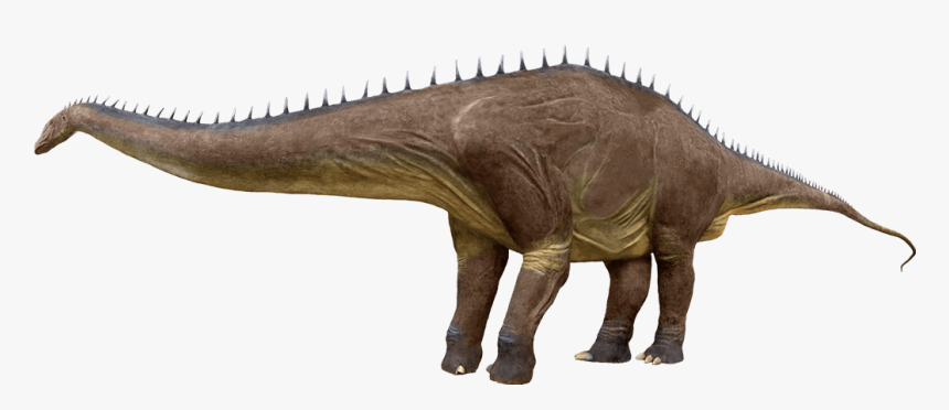 Diplodocus Png Free Download - Diplodocus Png, Transparent Png, Free Download