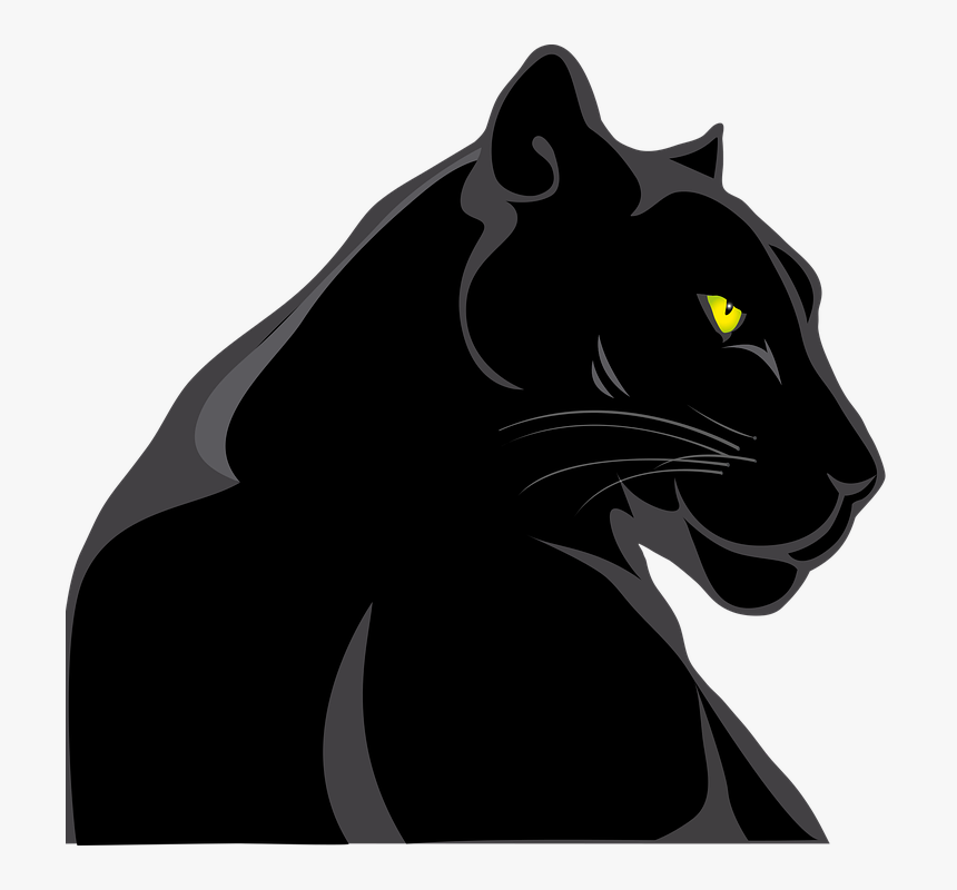 Panther, Animals, Feline, Wild, Animal World - Black Panther Animal Clipart, HD Png Download, Free Download