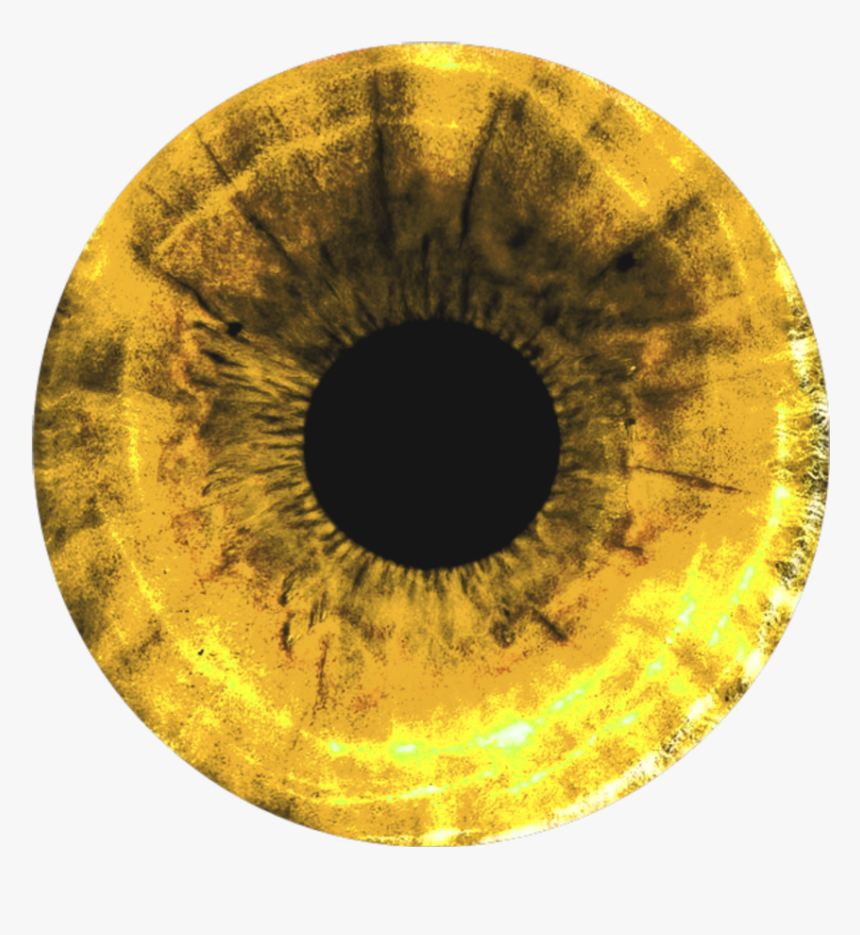 #circulo #olho #yellow #amarelo #eyes #art - Янтарные Глаза, HD Png Download, Free Download