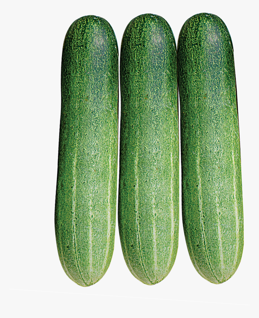 Cucumber, HD Png Download, Free Download