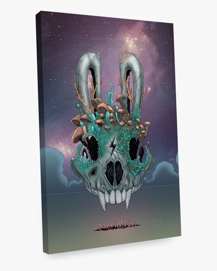 Laporidae Canvas Print Products, HD Png Download, Free Download