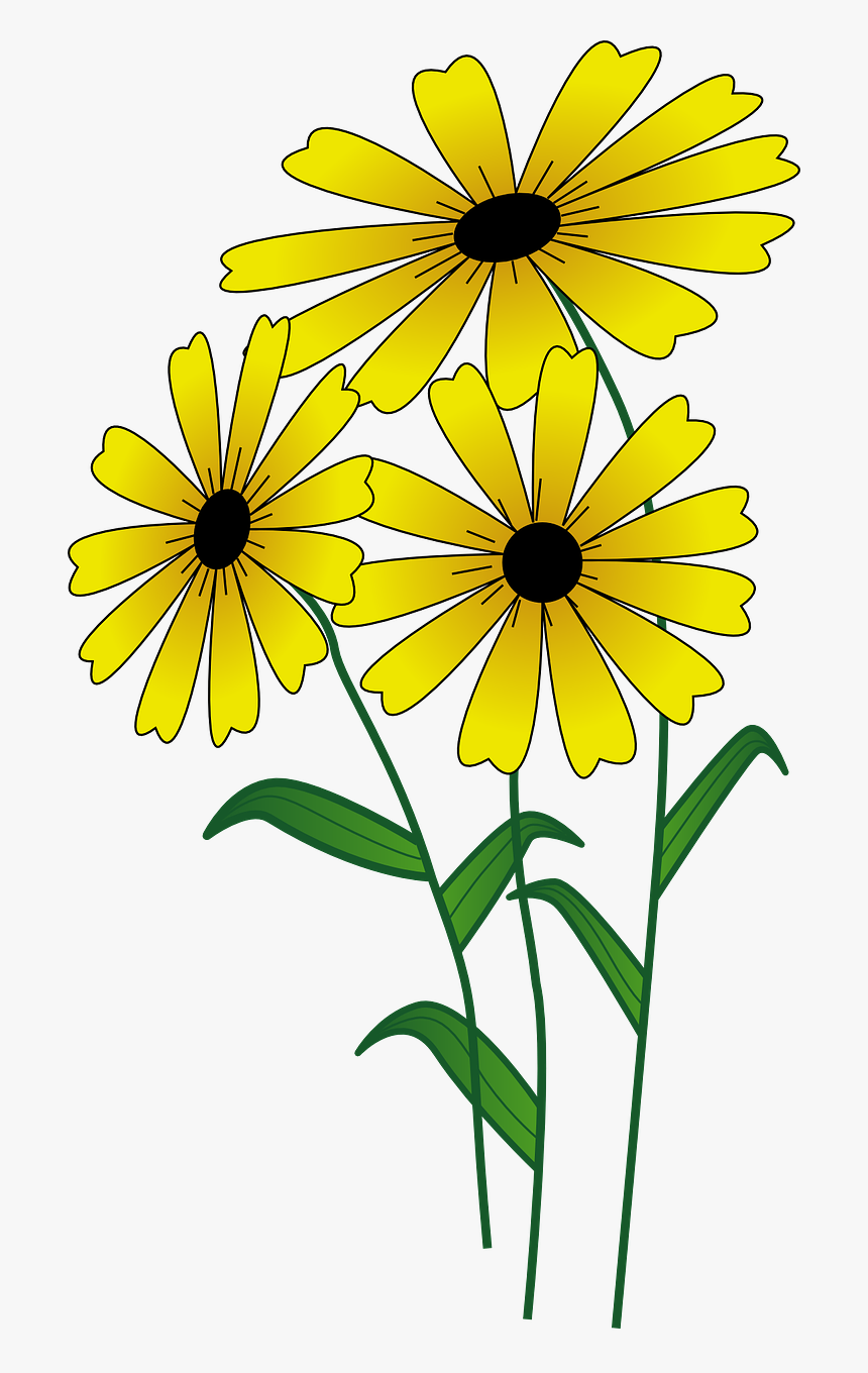 Flowers Yellow Bright Free Photo - Flowers Clipart, HD Png Download, Free Download