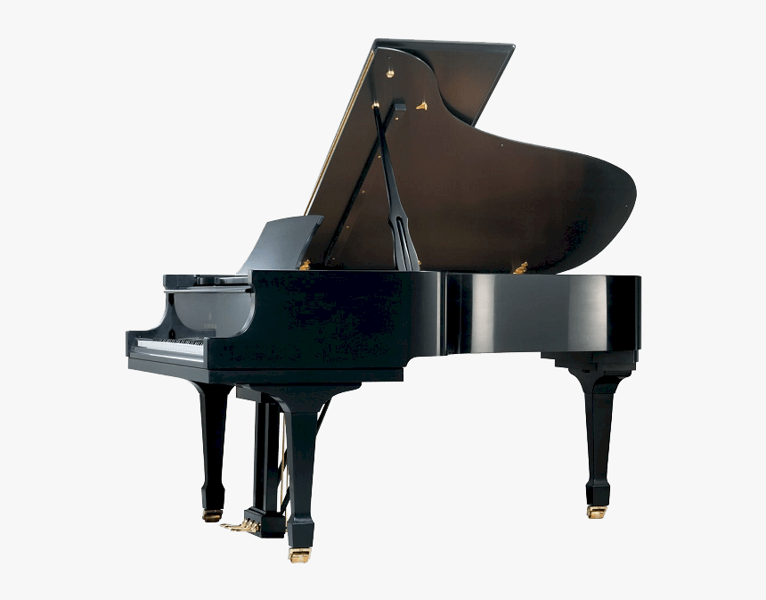 Pramberger 208 Grand Piano - Acoustic Pianos, HD Png Download, Free Download