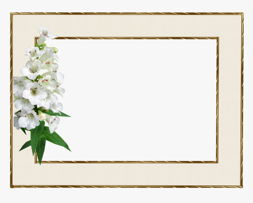 Jasmine Frame Png, Transparent Png, Free Download