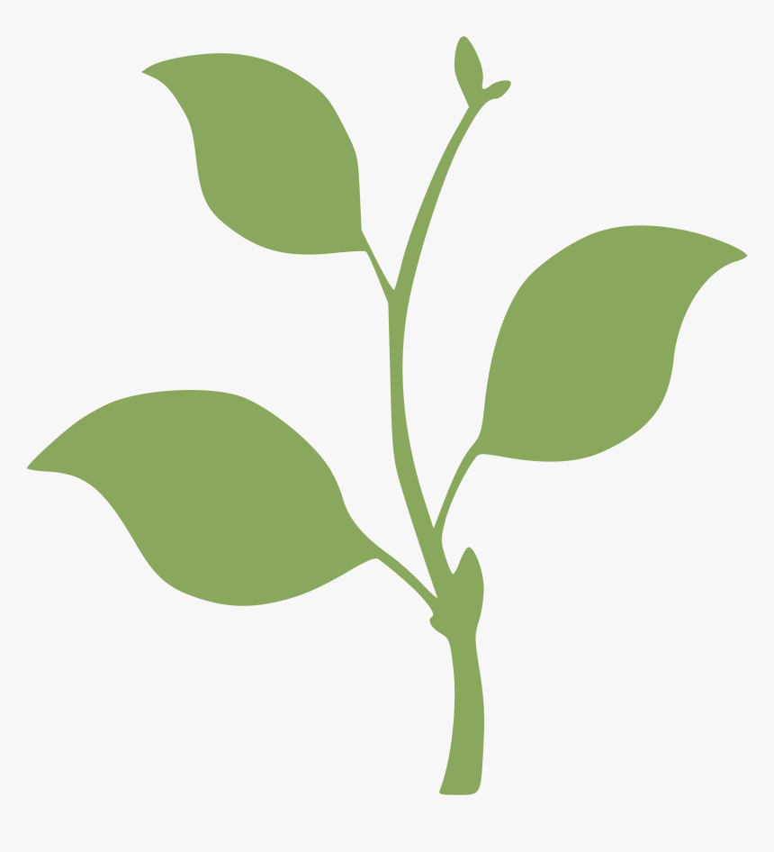 Transparent Sapling Clipart, HD Png Download, Free Download