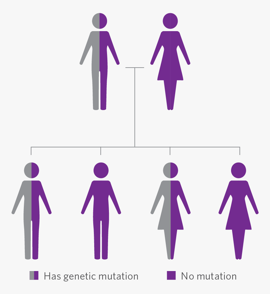 Typically Genetic Testing Is Recommended For Adults,, HD Png Download, Free Download