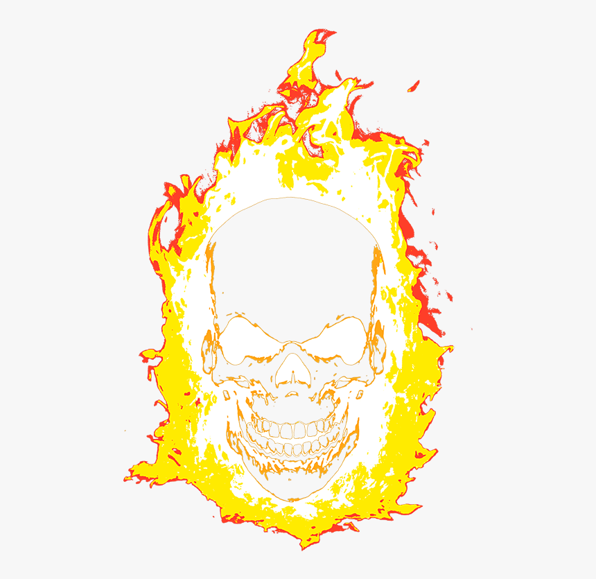 Skull, HD Png Download, Free Download