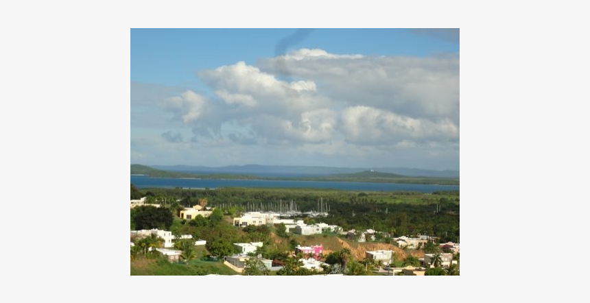 Puerto Rico Penthouse In Gated Community - Tree, HD Png Download, Free Download