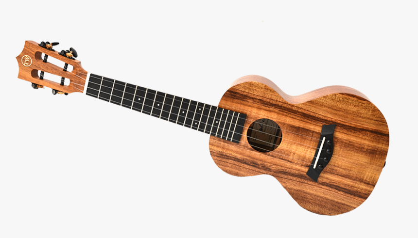 Different Type Of Ukulele Png, Transparent Png, Free Download