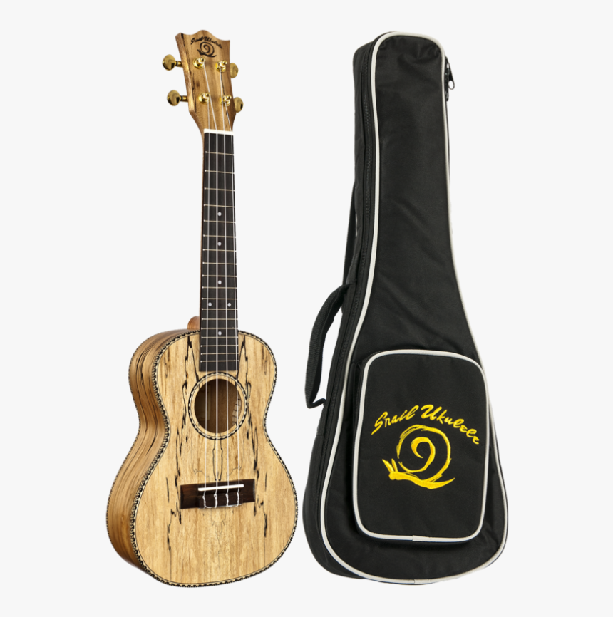 Snail Ebony Ukulele, HD Png Download, Free Download