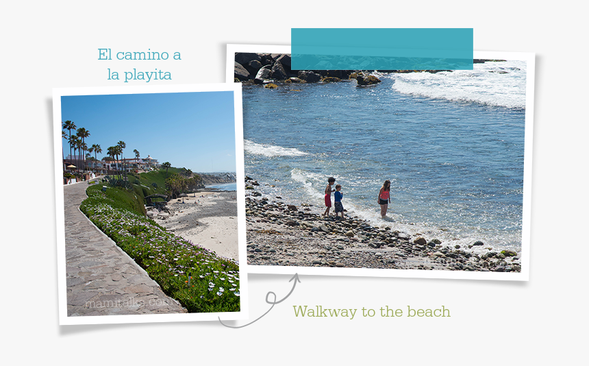 Walkway To The Beach Las Gaviotas Mamitalks - Beach, HD Png Download, Free Download