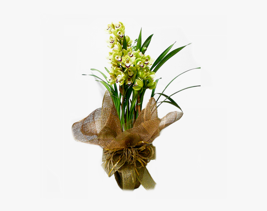Orquídea Cymbidium Verde , Png Download - Artificial Flower, Transparent Png, Free Download