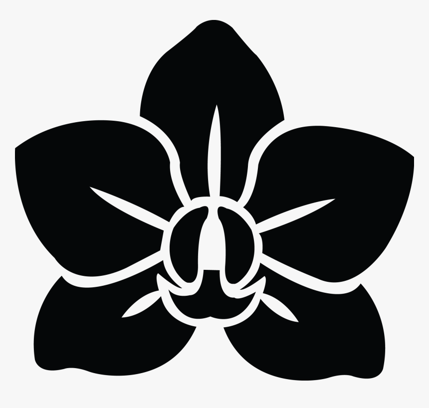 Orquídea Negra - Icono Orquidea Png, Transparent Png, Free Download