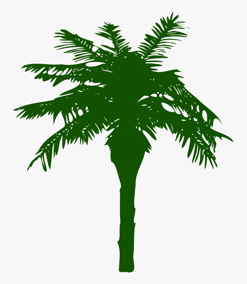 Silhouette Arbre - Attalea Speciosa, HD Png Download, Free Download