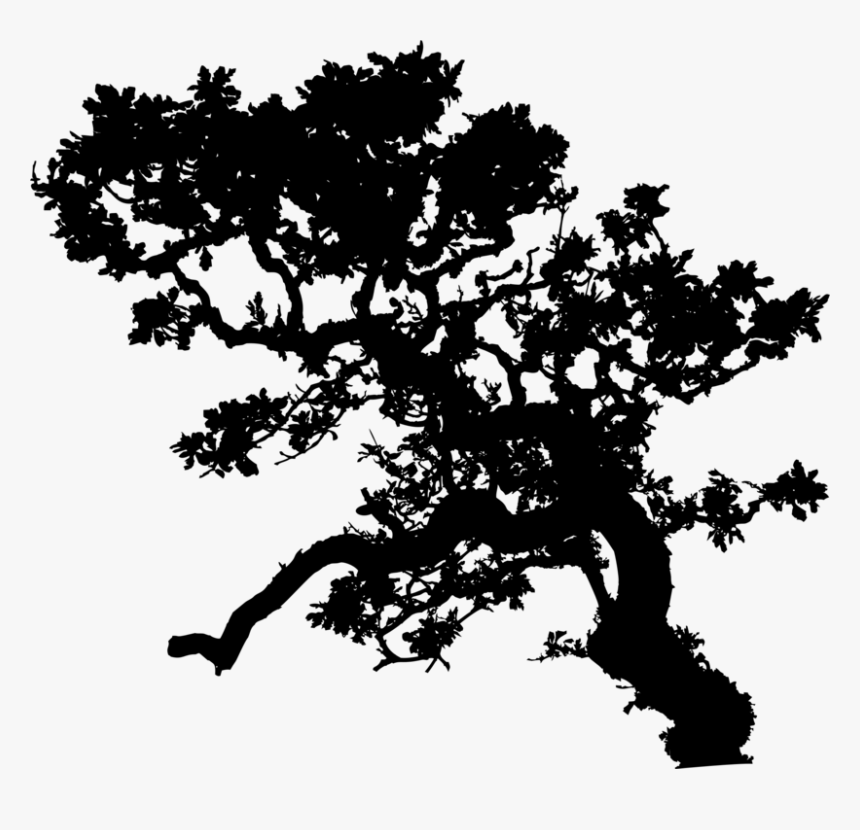 Leafy Tree Silhouette Library - Tree Silhouette Branch Leaves, HD Png Download, Free Download
