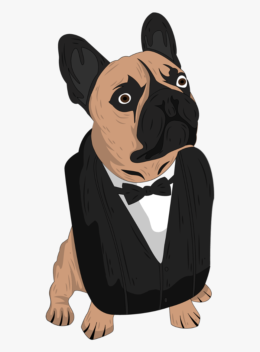 Mejores Accesorios Para Perros - French Bulldog, HD Png Download, Free Download