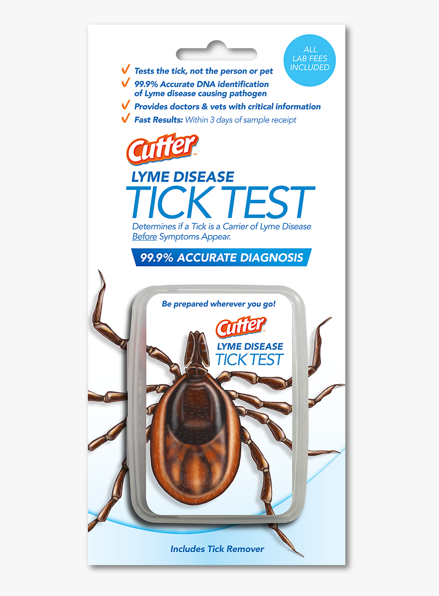 Image Description - Testing Tick For Lyme Disease, HD Png Download, Free Download