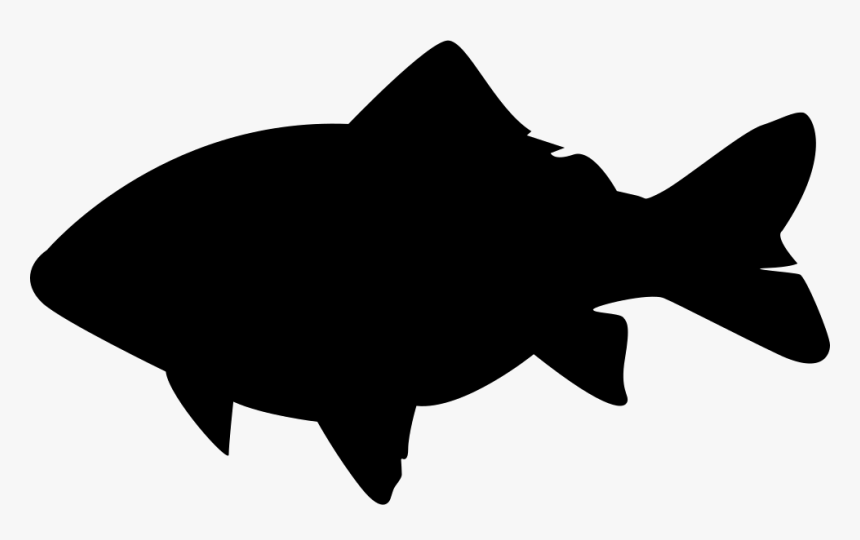 Crucian Carp Svg Png Icon Free Download Carp Icon Png Transparent Png Kindpng