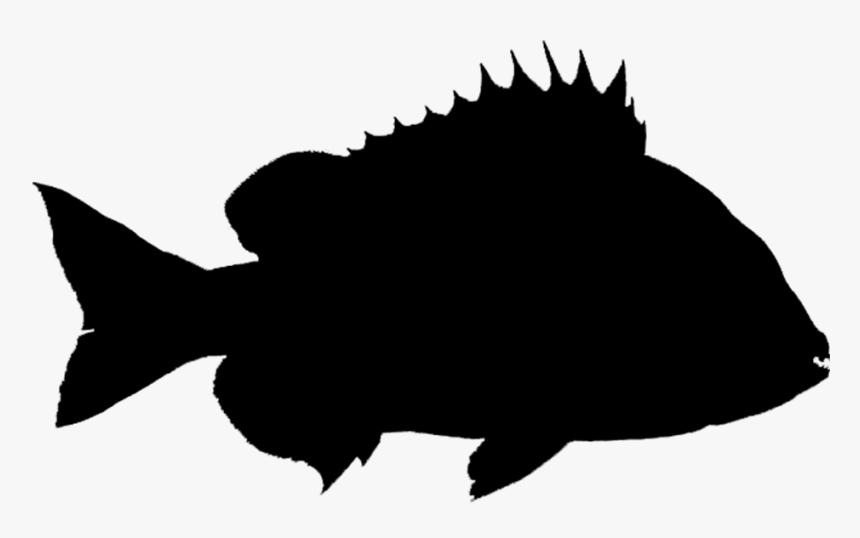 Common Carp Clip Art Vector Graphics Silhouette - Portable Network Graphics, HD Png Download, Free Download