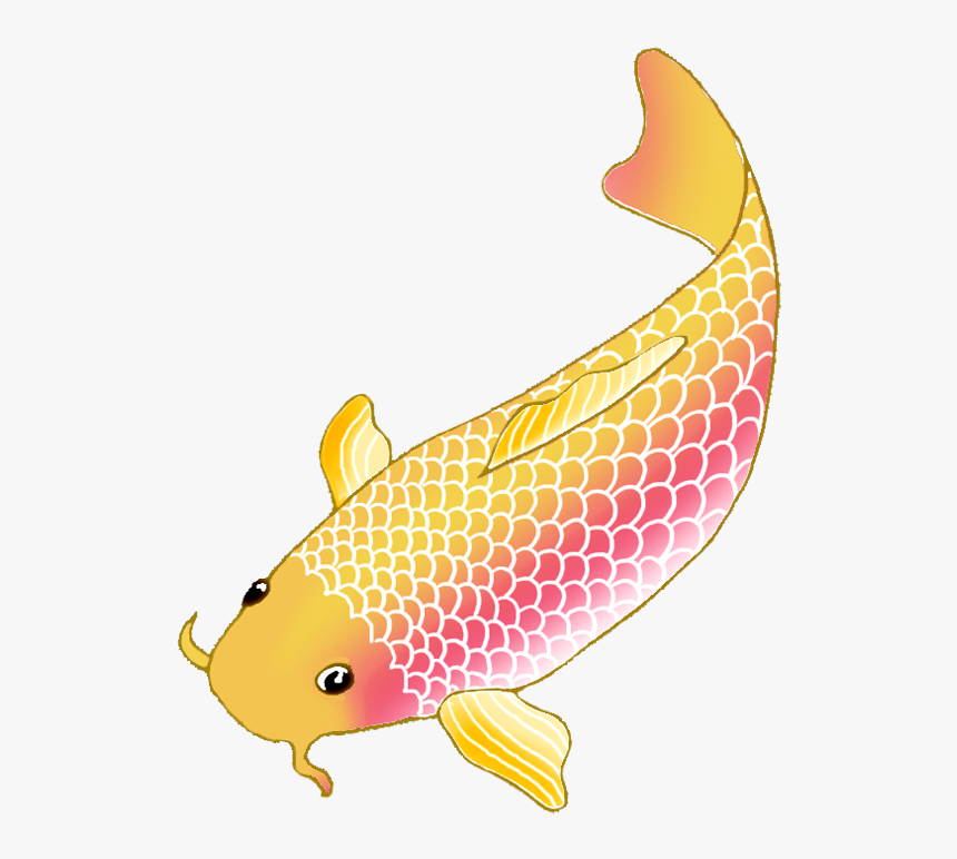 Pin Carp Clipart Coy - Transparent Koi Fish Clipart, HD Png Download, Free Download