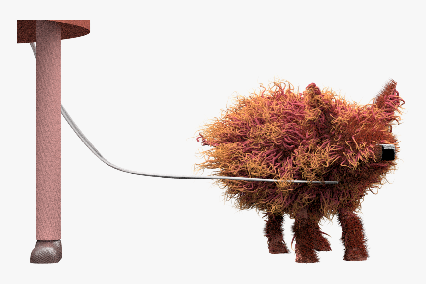 Maple Leaf, HD Png Download, Free Download