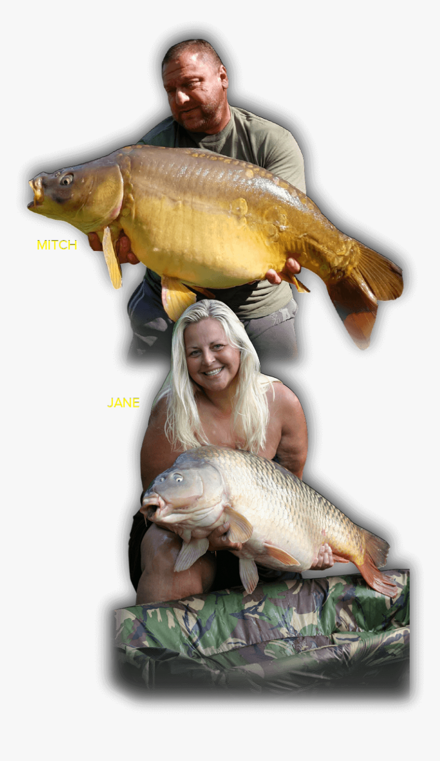 Mitch And Jane - Carp, HD Png Download, Free Download