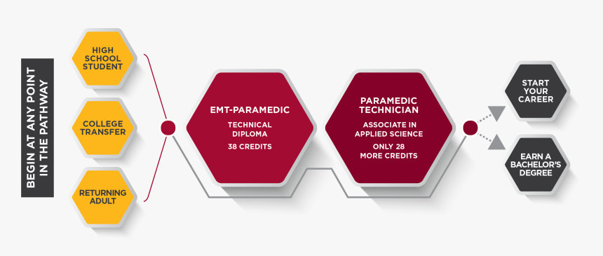 Emt-paramedic Pathway Graphic - Career Path For Nursing Assistant, HD Png Download, Free Download