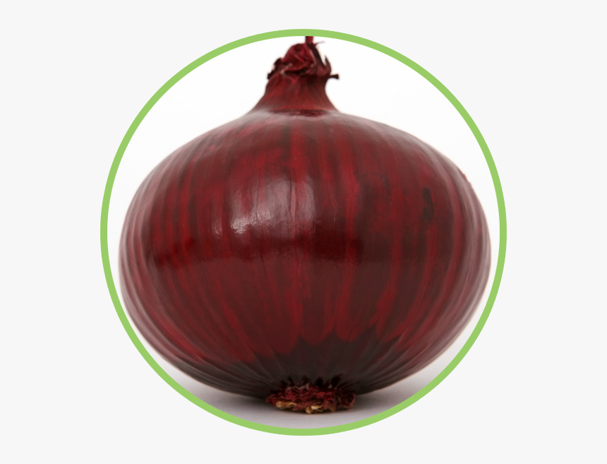 Red Onion Transparent Background, HD Png Download, Free Download