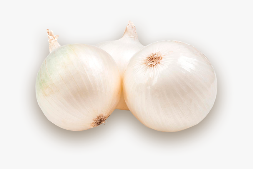 Garlic, HD Png Download, Free Download