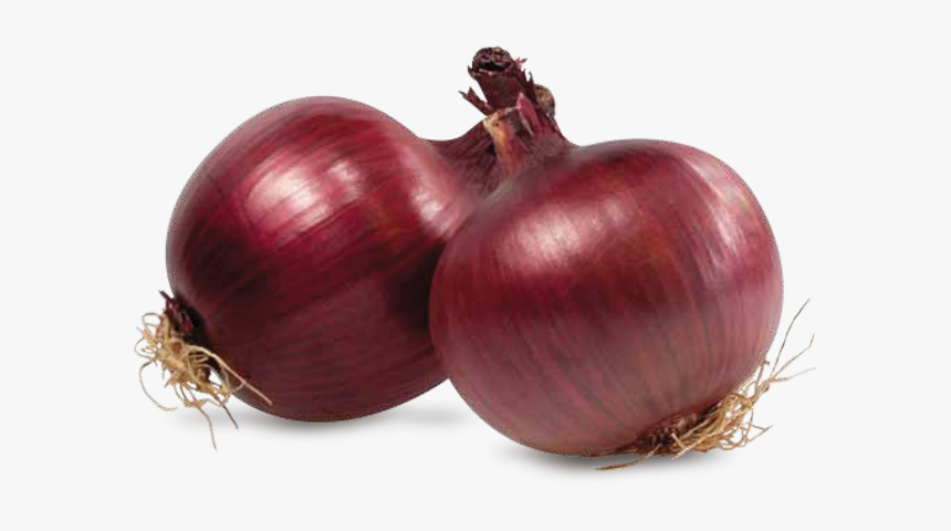 Red Onion, HD Png Download, Free Download