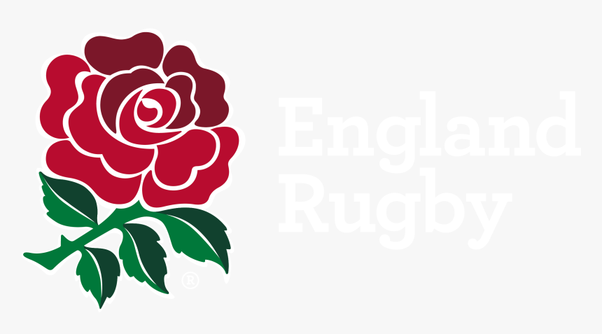 Thumb Image - Red Rose England Rugby, HD Png Download, Free Download