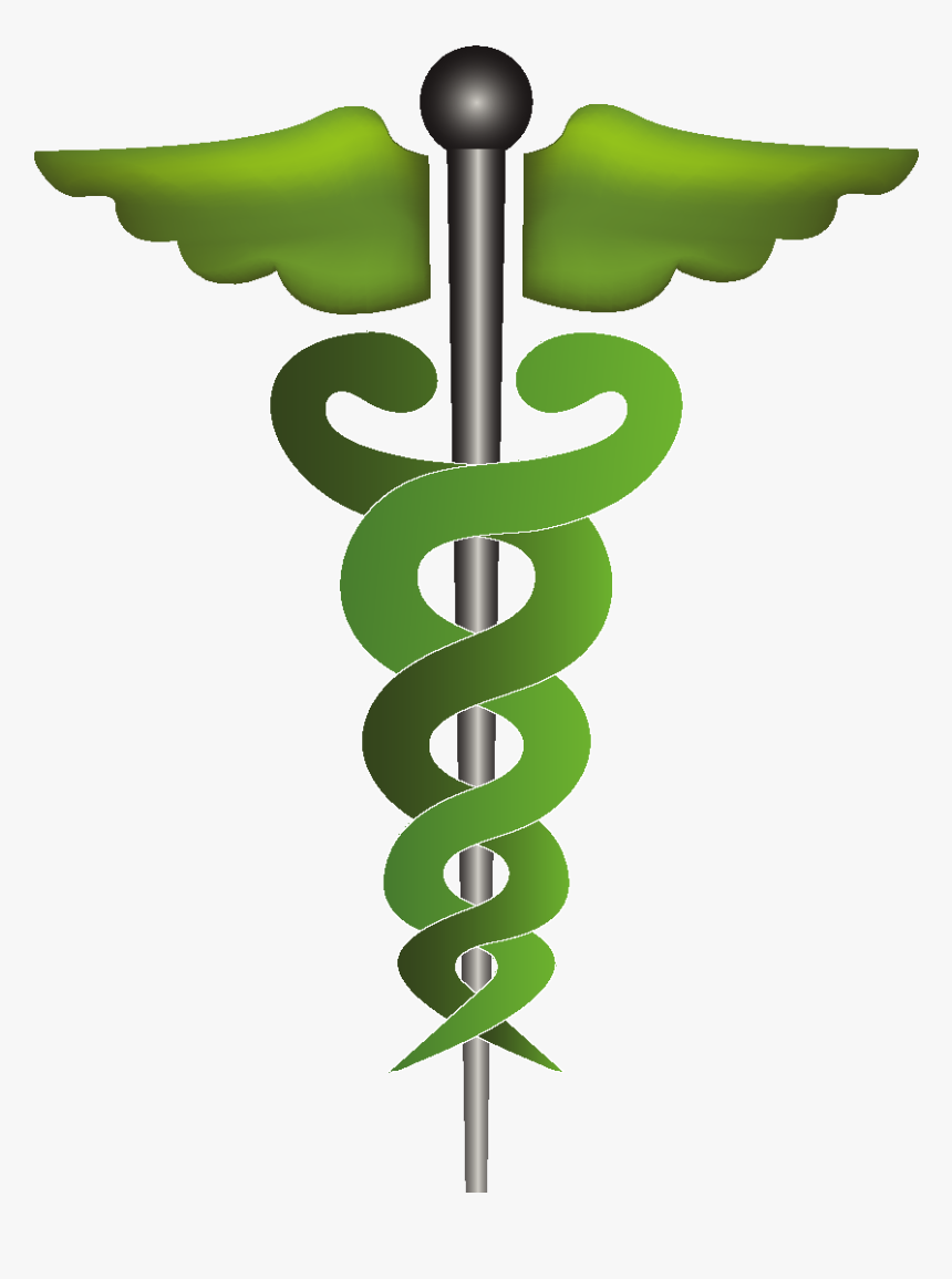 Cartoon Green Wings Icon Element - Logo De Medicina, HD Png Download, Free Download