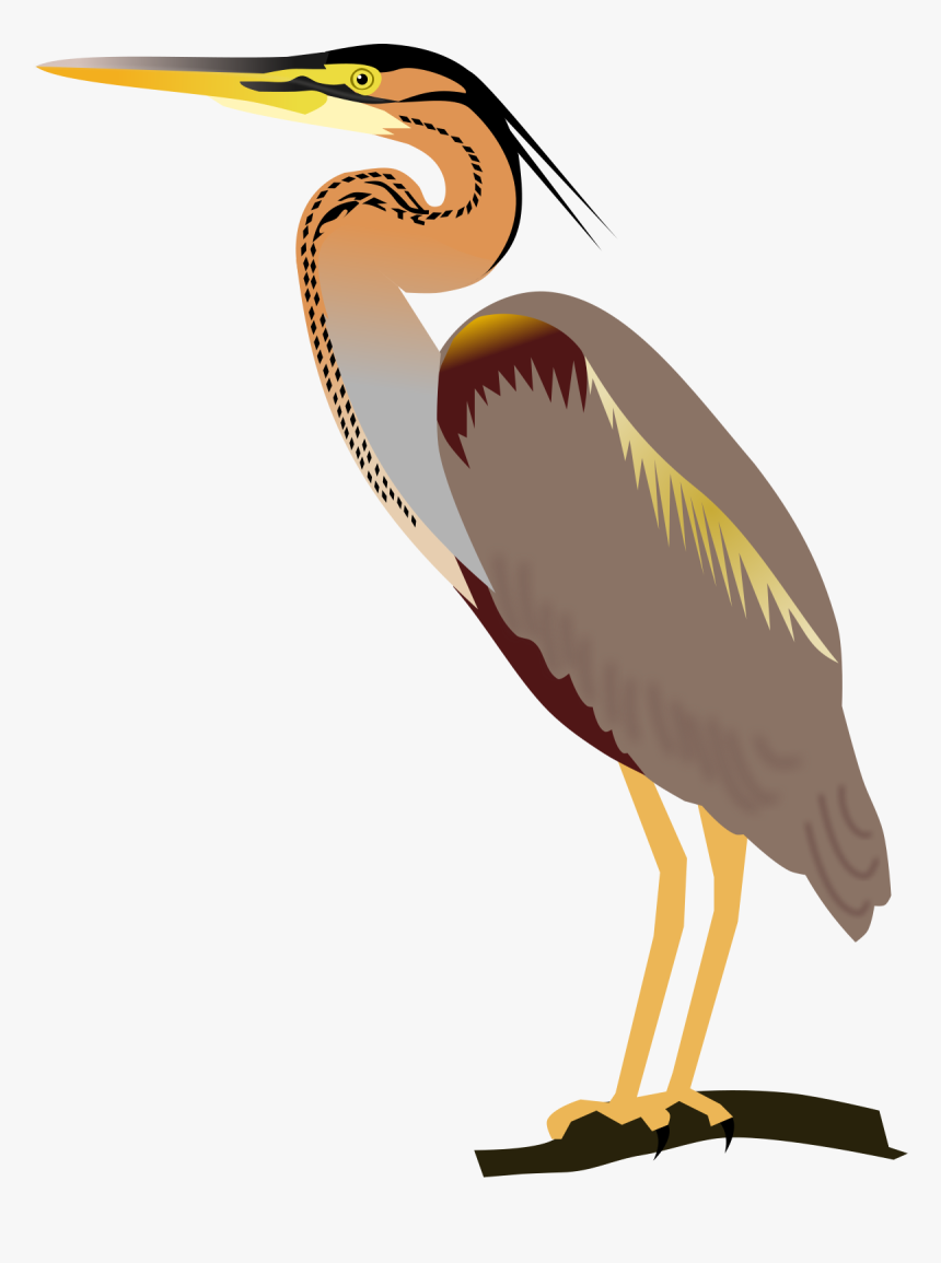 Birds Wikimedia Commons Png, Transparent Png, Free Download