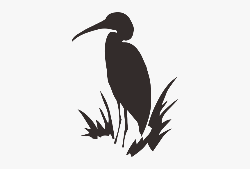 Great Blue Heron Green Heron Clip Art - Transparent Transparent Background Bird Silhouette, HD Png Download, Free Download