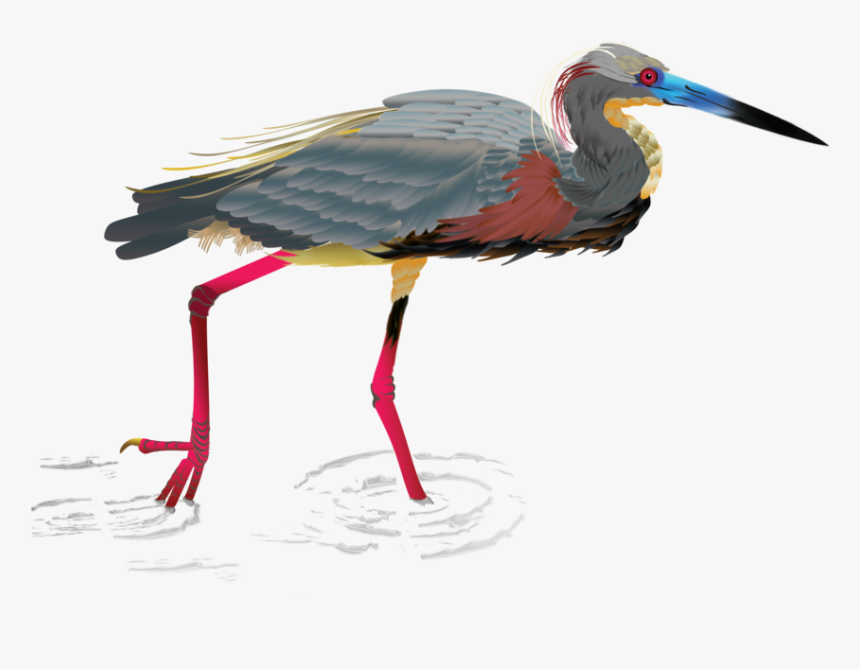 Final-heron, HD Png Download, Free Download