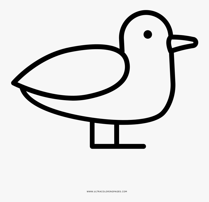Seagull Coloring Page - Duck, HD Png Download, Free Download