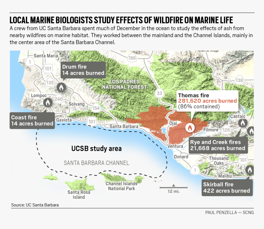 Ldn L Wildfire Oceans - Southern California Local Ecosystem, HD Png Download, Free Download