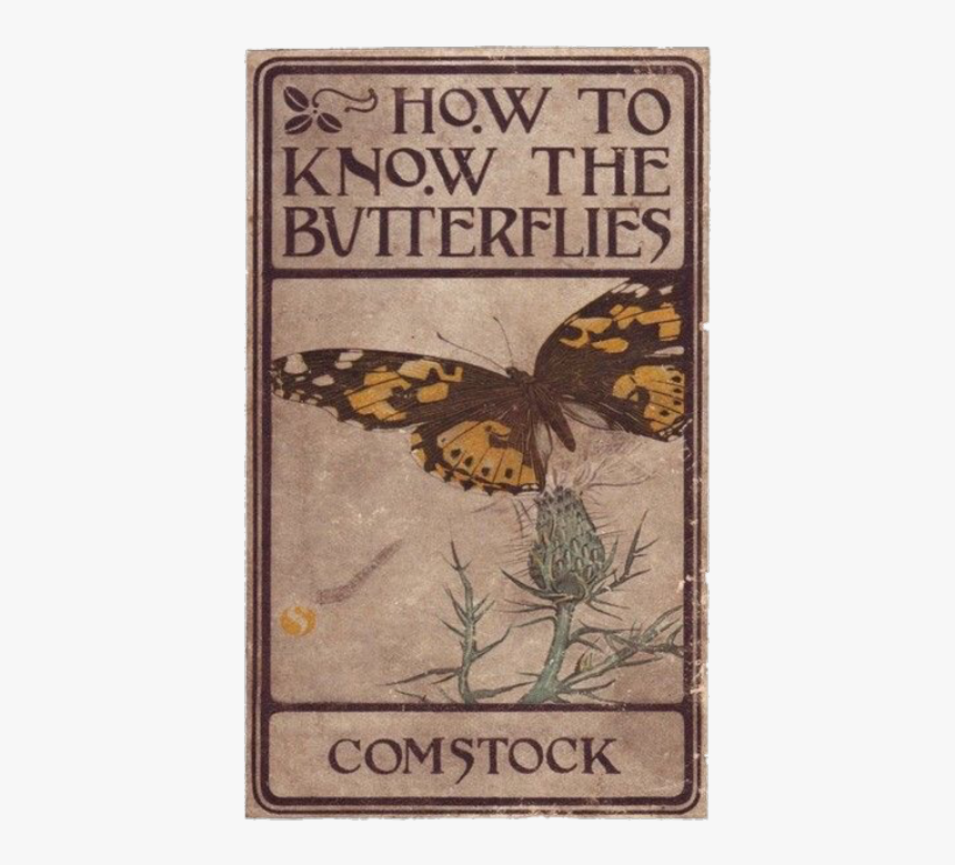 Image - Know The Butterflies Comstock, HD Png Download, Free Download
