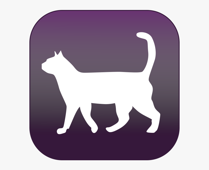 Completely Feline Focused - Afd Katze, HD Png Download, Free Download