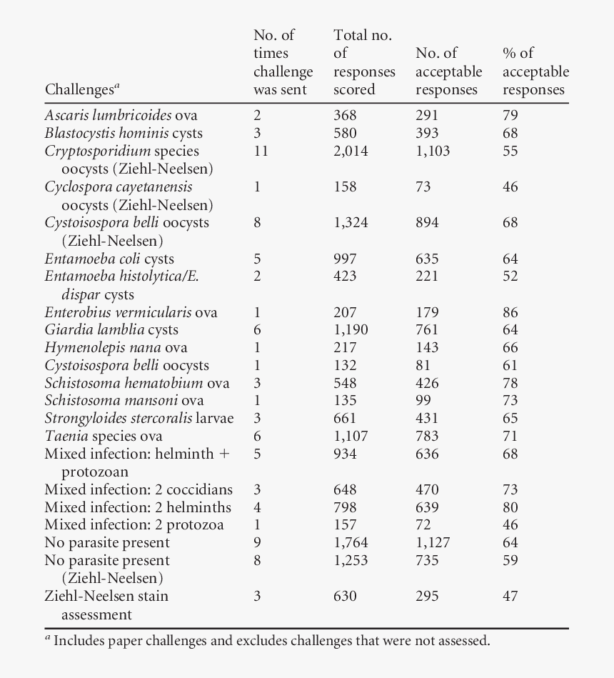 Drug Relapse Questionnaire, HD Png Download, Free Download