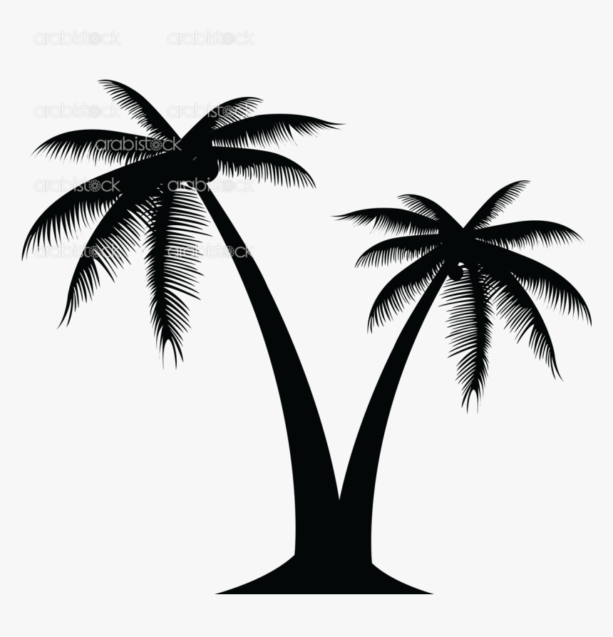 Px, File Size - Silhouette Coconut Tree Vector, HD Png Download, Free Download