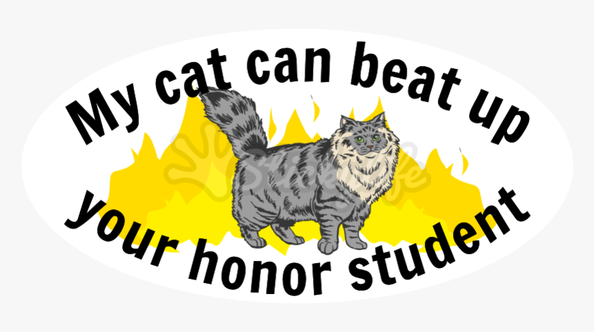 Custom Cat Oval Car Magnet - American Shorthair, HD Png Download, Free Download