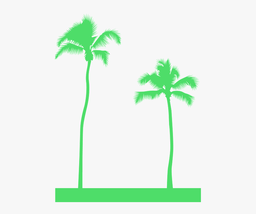 Lime Green Palm Tree, HD Png Download, Free Download