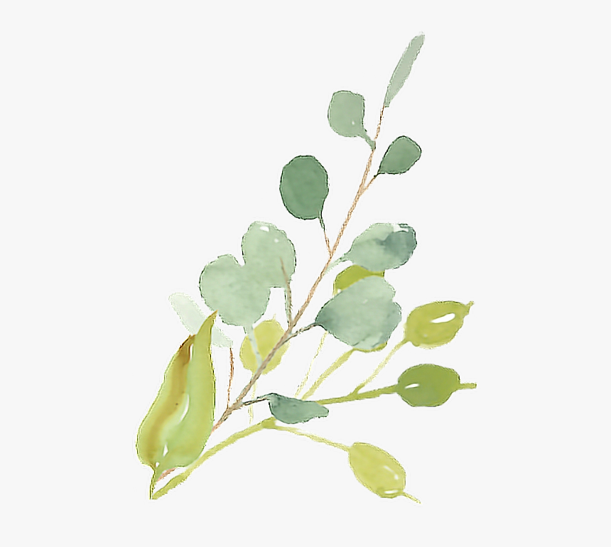#watercolor #watercolour #paint #plant#freetoedit - Transparent Free Watercolor Flowers, HD Png Download, Free Download