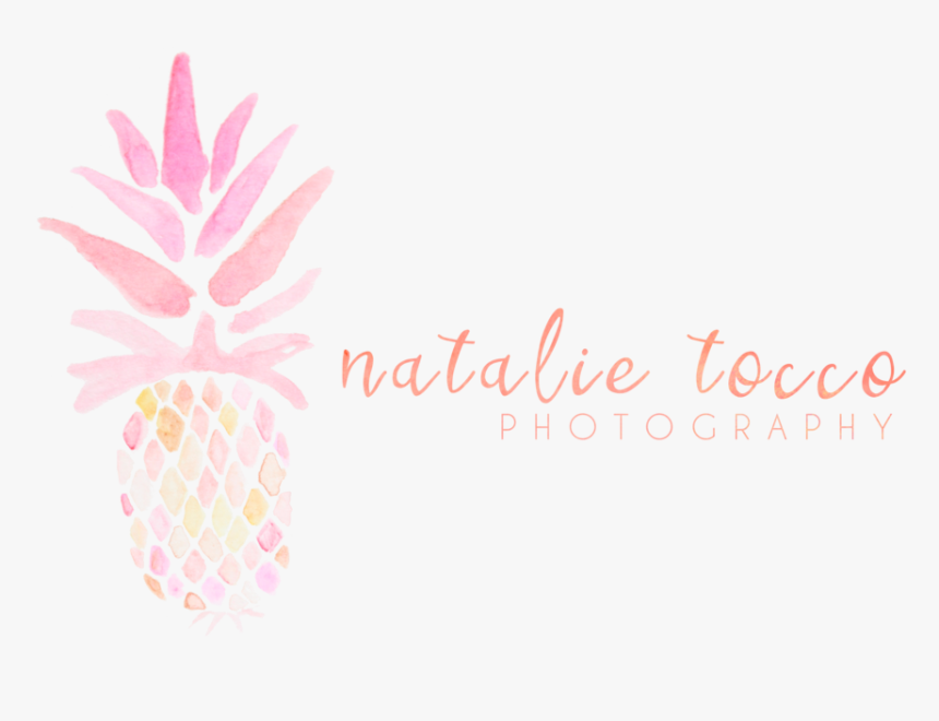 Logo Alt - Pineapple, HD Png Download, Free Download