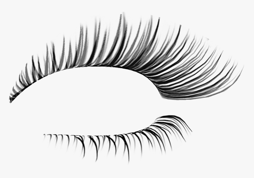 #pestañas - Eyelashes Photoshop Png, Transparent Png, Free Download