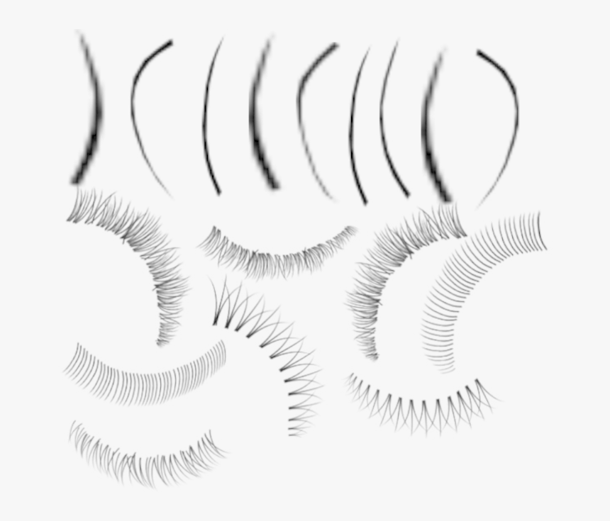 Adobe Photoshop Eyelash Brushes - Eyelash Brush Photoshop, HD Png Download, Free Download